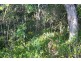 75 Perulpa Drive, Lamb Island QLD 4184