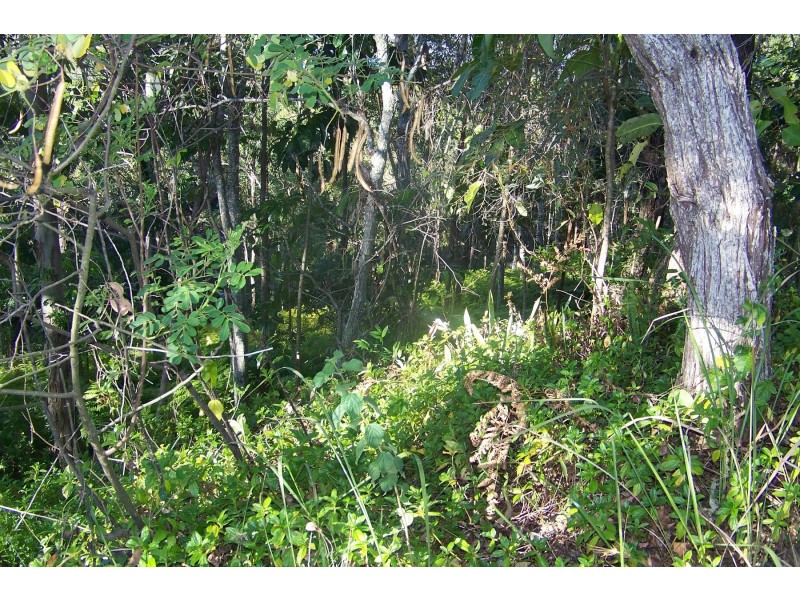 75 Perulpa Drive, Lamb Island QLD 4184