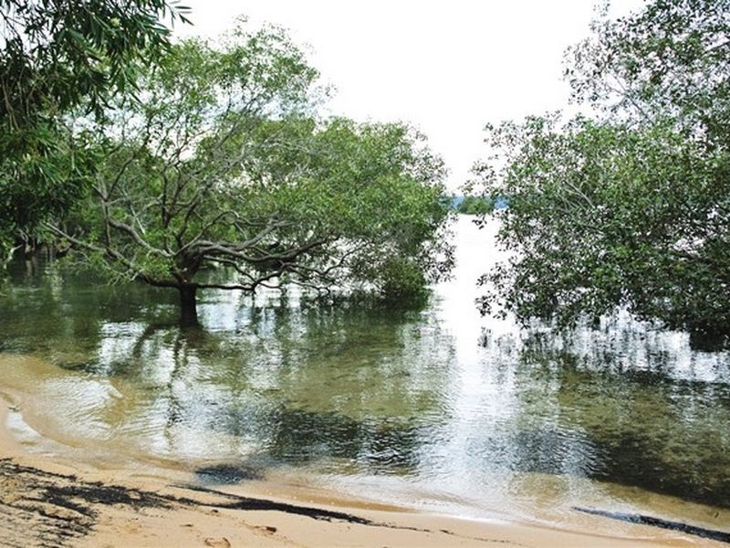 16-18 Weeroona Avenue, Macleay Island QLD 4184