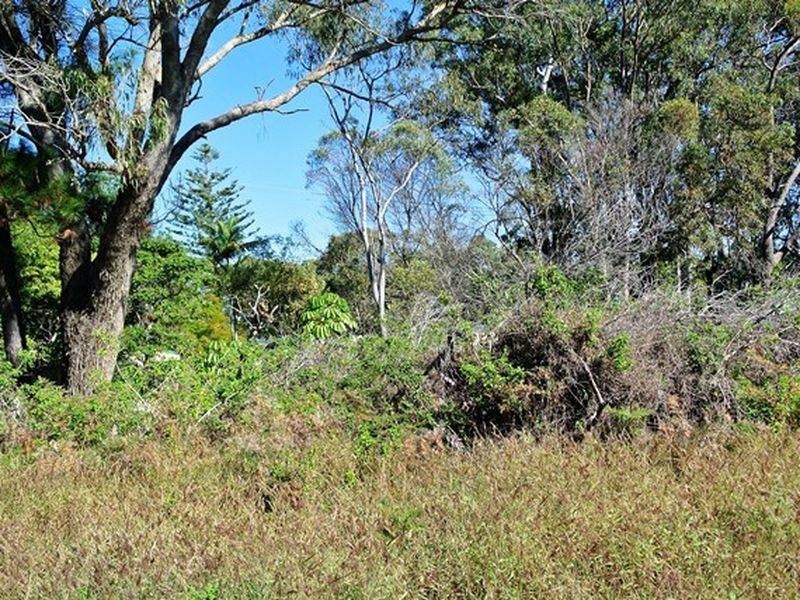 33 Hamilton Parade, Macleay Island QLD 4184