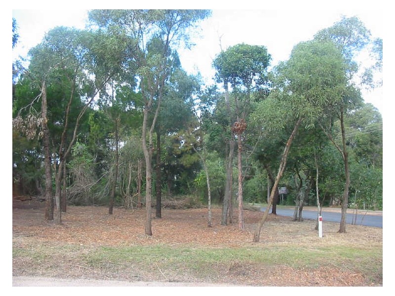 152 High Central Road, Macleay Island QLD 4184