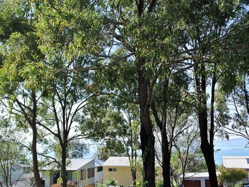 44 Beelong Street, Macleay Island QLD 4184