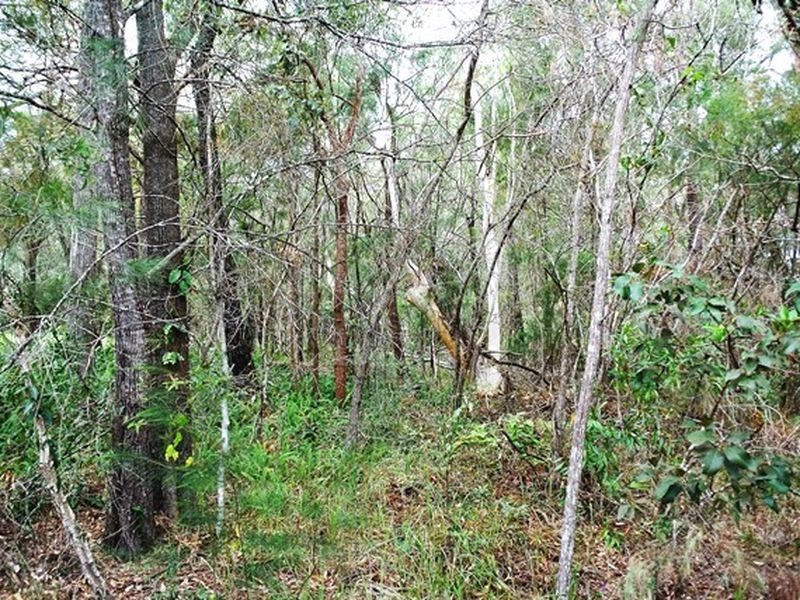 10 President Terrace, Macleay Island QLD 4184