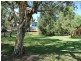 73 Coondooroopa Drive, Macleay Island QLD 4184