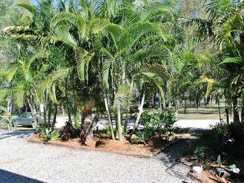 20 Devaney Street, Macleay Island QLD 4184