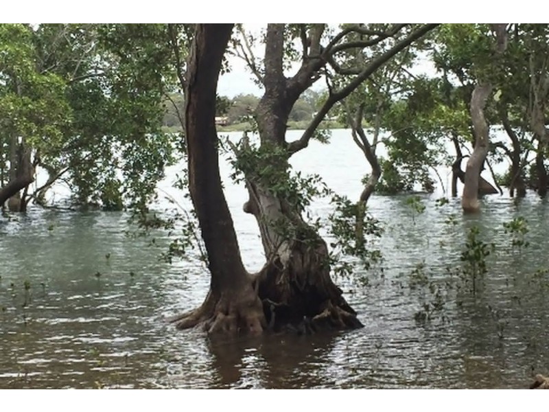 46-48 Calm Waters Crescent, Macleay Island QLD 4184