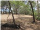33 Southsea Terrace, Macleay Island QLD 4184
