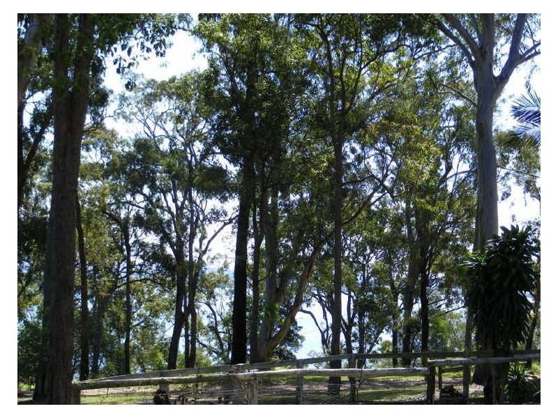 4-6 Cliff Terrace, Macleay Island QLD 4184