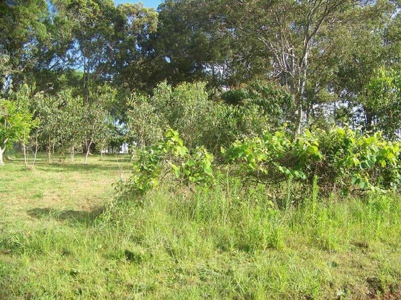 19 Lucas Drive, Lamb Island QLD 4184