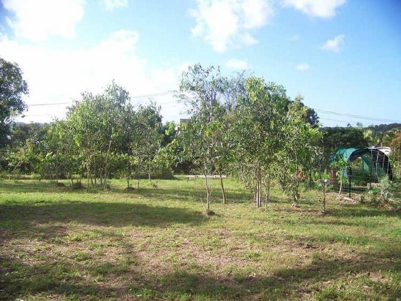 19 Lucas Drive, Lamb Island QLD 4184