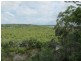 166 Treasure Island, Karragarra Island QLD 4184