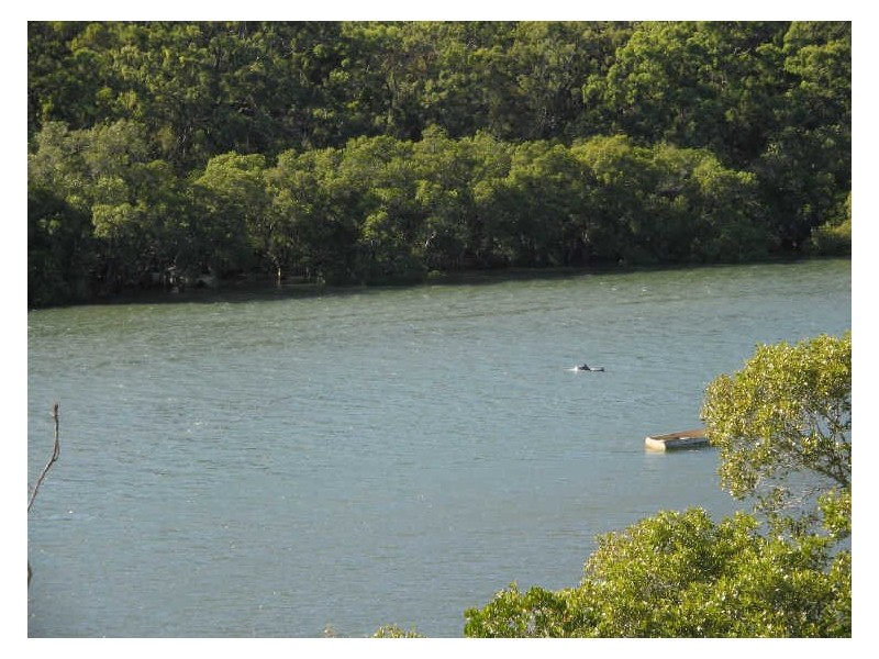 8 Alawa Street, Macleay Island QLD 4184