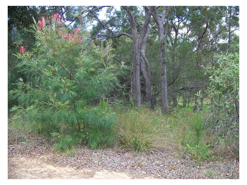 18 Belar st, Lamb Island QLD 4184