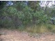 18 Belar st, Lamb Island QLD 4184