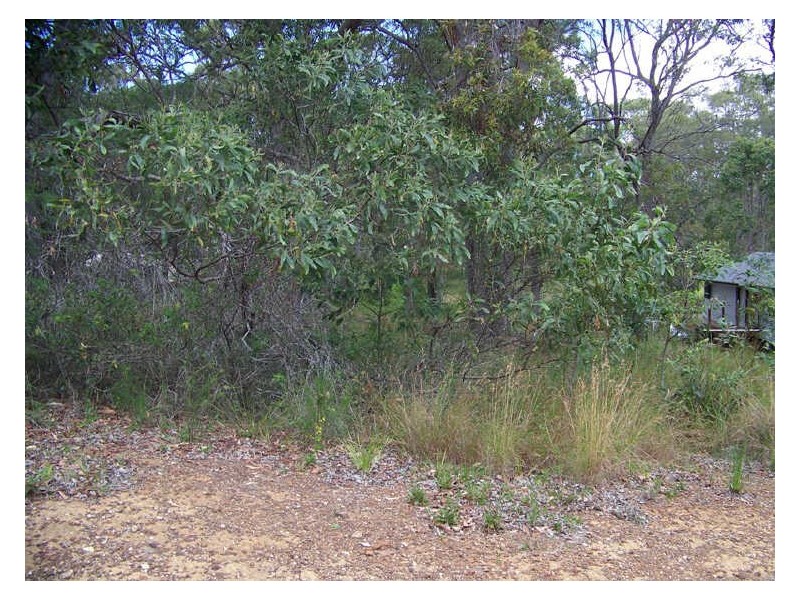 18 Belar st, Lamb Island QLD 4184