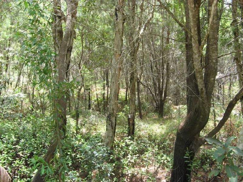 29-33 Nunkeri Drive, Macleay Island QLD 4184