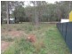 19 Devaney Street, Macleay Island QLD 4184