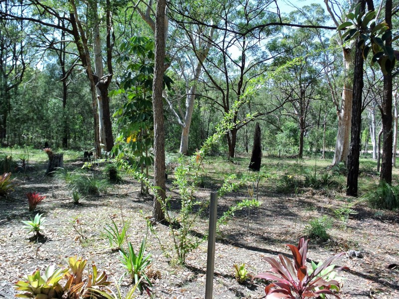 11 Noondoo Street, Macleay Island QLD 4184