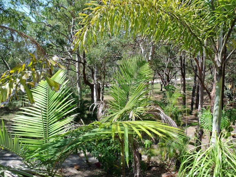 11 Noondoo Street, Macleay Island QLD 4184