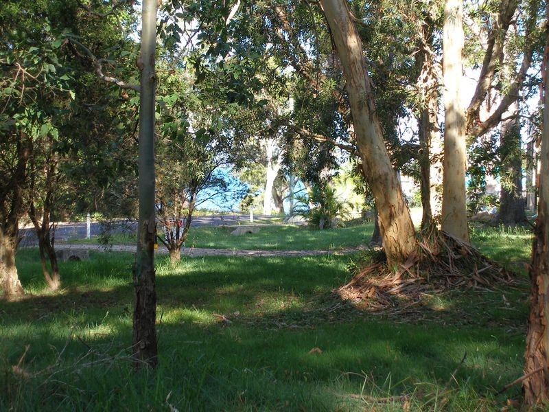 36 Morwong Street, Macleay Island QLD 4184