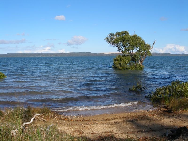 36 Morwong Street, Macleay Island QLD 4184