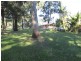 5 Double Bay Street, Macleay Island QLD 4184