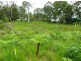 38 Nunkeri Drive, Macleay Island QLD 4184