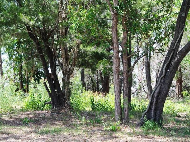 27 Timothy Street, Macleay Island QLD 4184