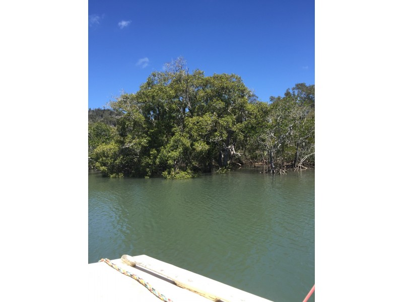 182 Canaipa Pt Dr, Russell Island QLD 4184