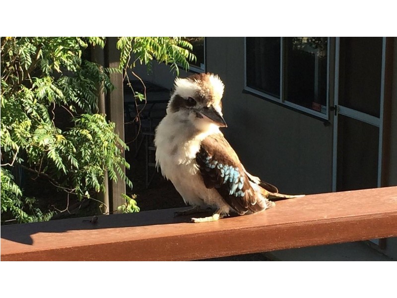 85 Coondooroopa Drive, Macleay Island QLD 4184