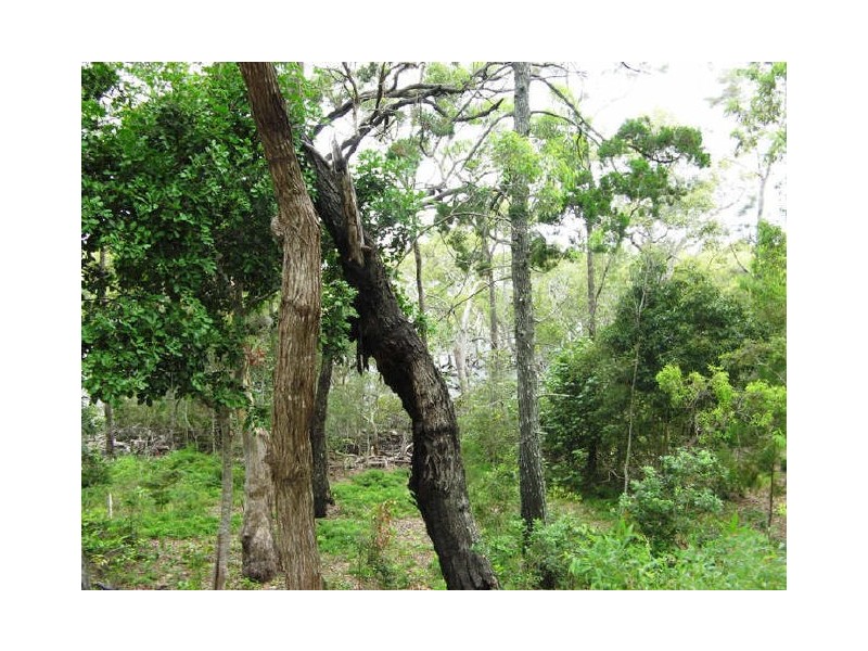 Macleay Island QLD 4184