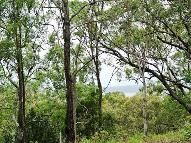 13-15 Beelong Street, Macleay Island QLD 4184