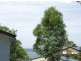 Macleay Island QLD 4184