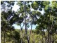 36 Blue Water Crescent, Macleay Island QLD 4184