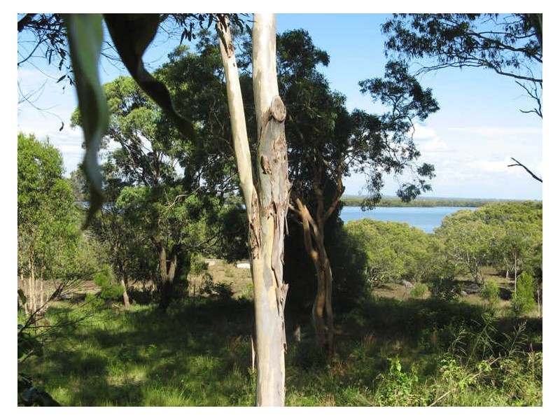 50 Charles Terrace, Macleay Island QLD 4184