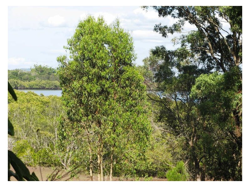 50 Charles Terrace, Macleay Island QLD 4184