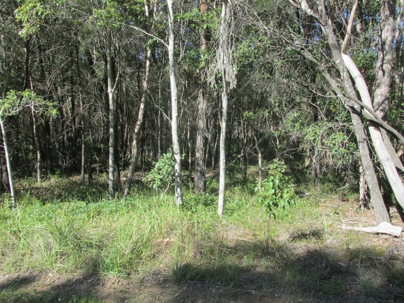 74 High Central Road, Macleay Island QLD 4184