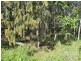 74 High Central Road, Macleay Island QLD 4184