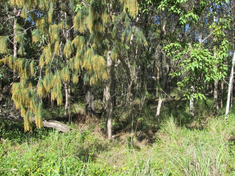 74 High Central Road, Macleay Island QLD 4184