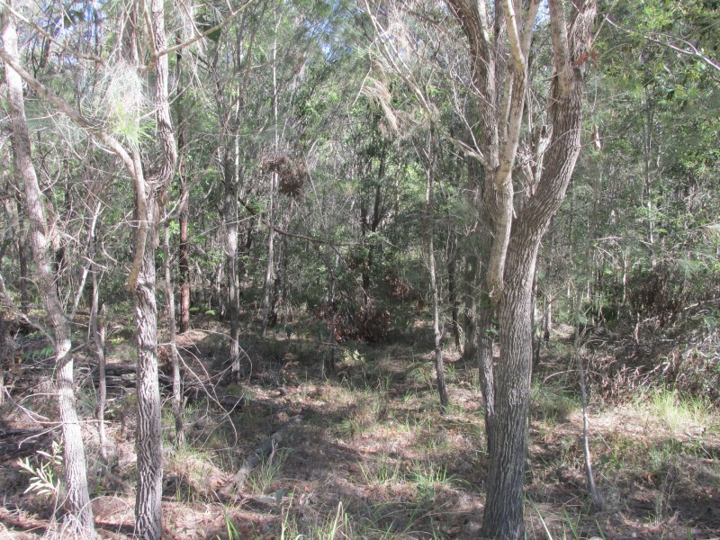 38 Wirralee Street, Macleay Island QLD 4184