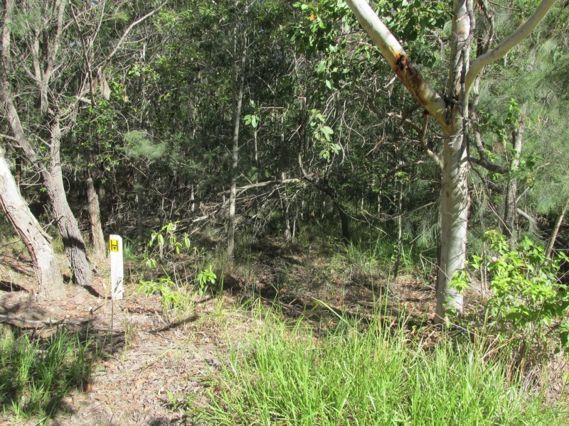 38 Wirralee Street, Macleay Island QLD 4184