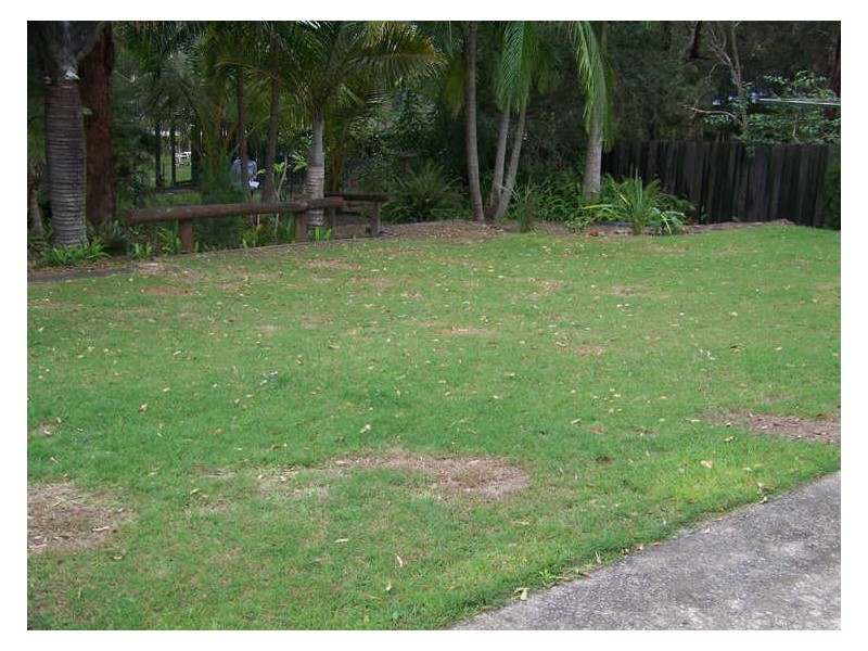 25 Wharf St, Macleay Island QLD 4184