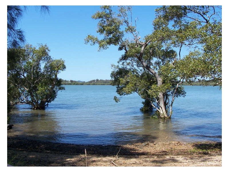 49 Orion Street, Macleay Island QLD 4184