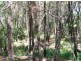 Macleay Island QLD 4184