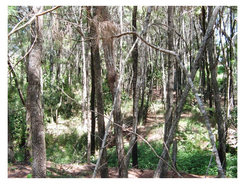 Macleay Island QLD 4184