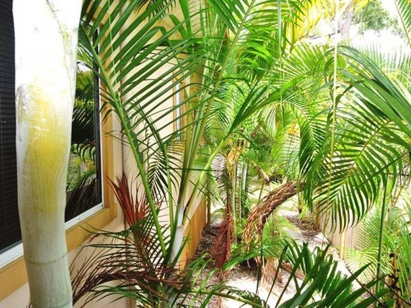 10 Dalpura Street, Macleay Island QLD 4184