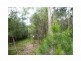 17 Jane Street, Macleay Island QLD 4184
