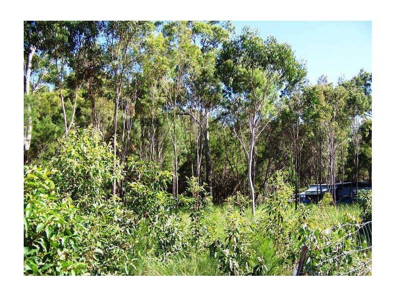 17 Jane Street, Macleay Island QLD 4184