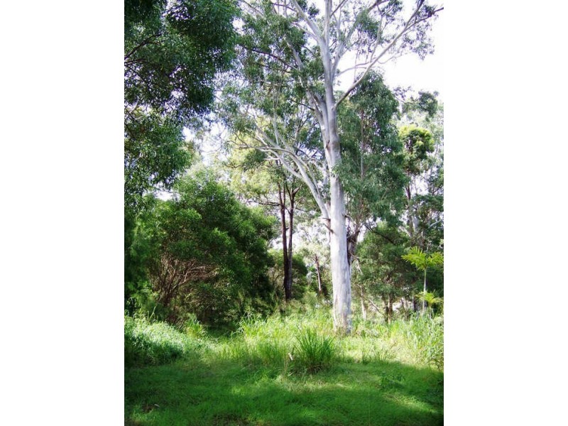 4 Acacia Ct, Macleay Island QLD 4184
