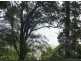 23 Coast Rd, Macleay Island QLD 4184